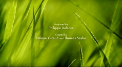 خیلی خیلی کوچک (2) (میخکوب می شوند)